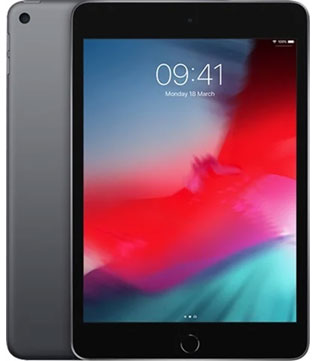 APPLE ipad Mini (5th Gen) (A2133) 64 GB ROM 7.9 inch with Wi-Fi Only (Any Color) (Pre-owned)