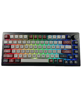 Akko (5075B) Plus 75% Mechanical Keyboard (Dracula Castle) (Pre-owned)