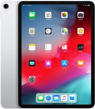 Apple iPad Pro (1st Gen) (A1980) 256 GB ROM 11 Inch with Wi-Fi Only (Silver) (Pre-owned)