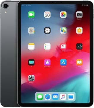 Apple iPad Pro (1st Gen) (A1980) 256 GB ROM 11 Inch with Wi-Fi Only (Space Grey) (Pre-owned)