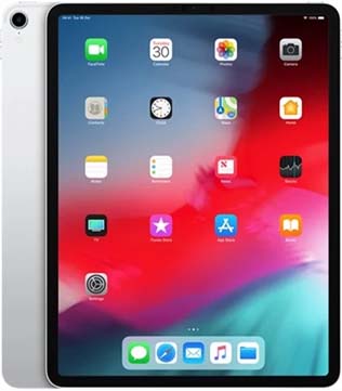 Apple iPad Pro (3rd Gen) (A1876) 256 GB 12.9 Inch with Wi-Fi Only (Silver) (Pre-owned)