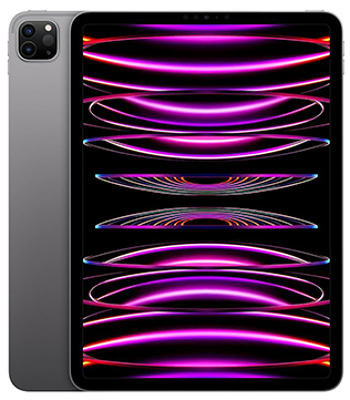Apple iPad Pro (4th Gen) (A2435) 256 GB 11 Inch with Wi-Fi + Cellular (Space Grey) (Pre-owned)