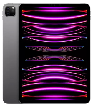 Apple iPad Pro (4th Gen) (A2759) 128 GB 11 Inch with Wi-Fi Only (Space Grey) (Pre-owned)