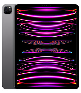 Apple iPad Pro (6th Gen) (A2436) 256GB 12.9 Inch with Wi-Fi Only (Space Grey) (Pre-owned)