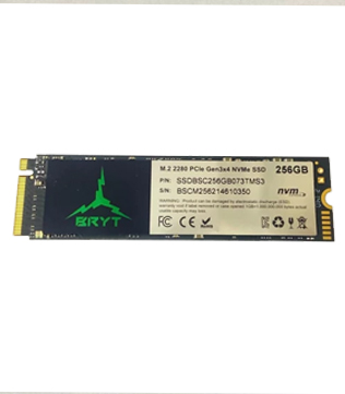 BRYT 256GB M.2 NVMe Internal Solid State Drive (Pre-owned)