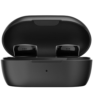 Bose QuietComfort Earbuds with Active Noise Cancellation (Black) (Pre-owned)