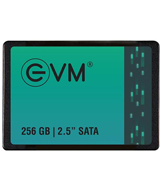 EVM 256 2.5 Inch SATA (EVM25/256GB) Internal Solid State Drive (Pre-owned)