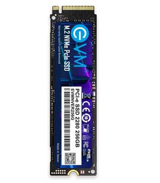 EVM 256GB M.2 NVMe Internal Solid State Drive (Pre-owned)