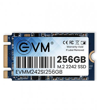 EVM 256GB M.2 SATA Internal Solid State Drive (Pre-owned)