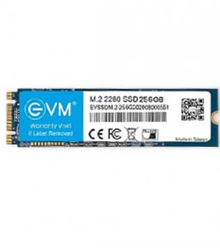 EVM 256GB M.2 SATA SSD (EVSSDM.2-256G) Internal Solid State Drive (Pre-owned)