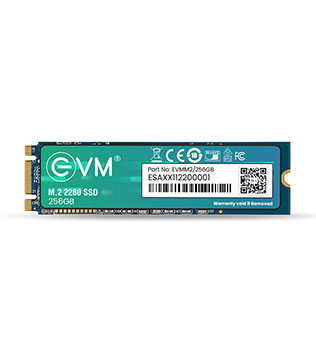 EVM 256GB M.2 SATA (EVMM2/256GB) Internal Solid State Drive (Pre-owned)