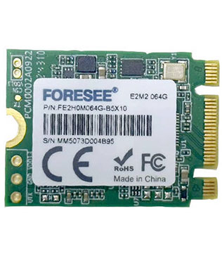 FORESEE E2M2 64GB M.2 NVMe Internal Solid State Drive (Pre-owned)