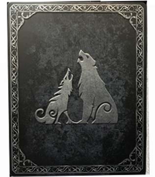 God of War Ragnarok Steelbook (No Game Included) (Pre-owned)