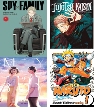 Manga Collection (18 Books) (Pre-owned)