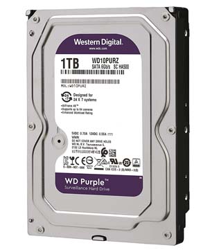 Western Digital WD Purple 1TB Surveillance (WD10PURZ) Hard Disk Drive (Pre-owned)