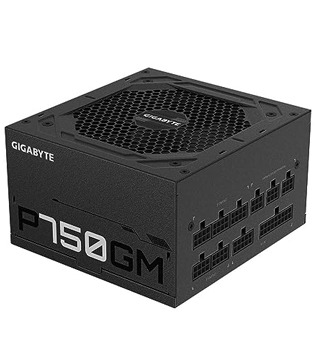 Gigabyte P750GM 750 Watt 80 Plus Modular Power Supply (Pre-owned)